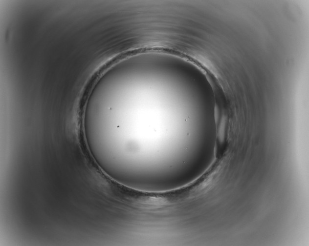 X0000089761119200706211538