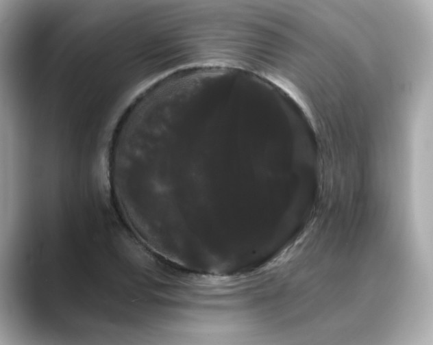 X0000089761120200706211538