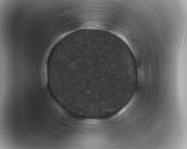 X0000089761123200706211538