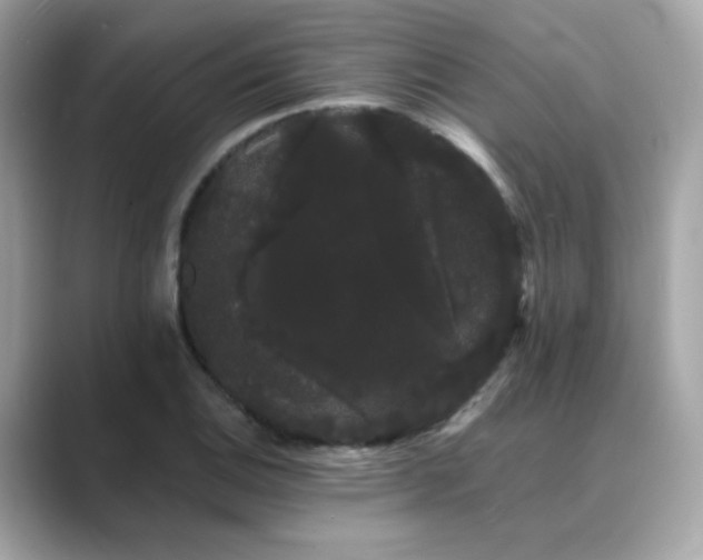 X0000089761124200706211538