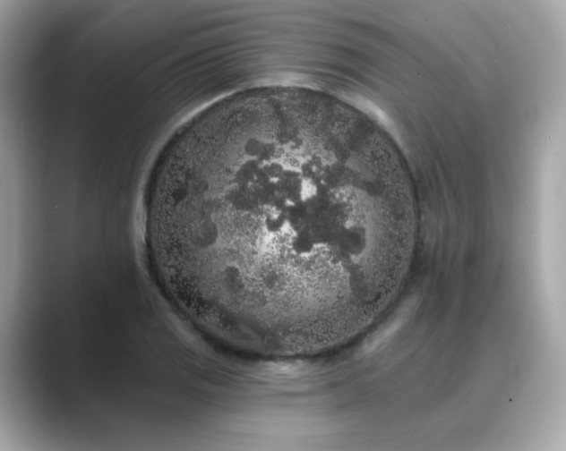 X0000089761125200706211538