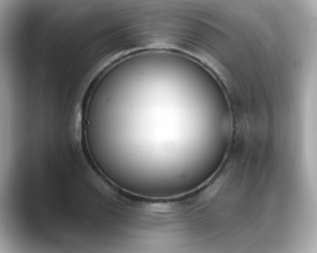 X0000089761126200706211539