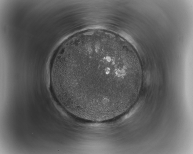 X0000089761127200706211539