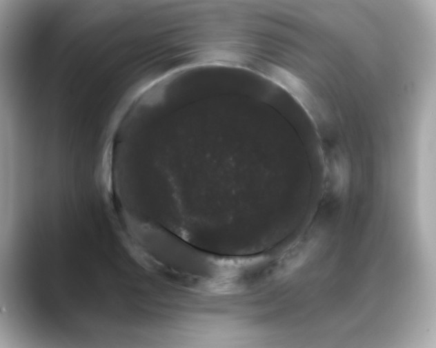 X0000089761128200706211539