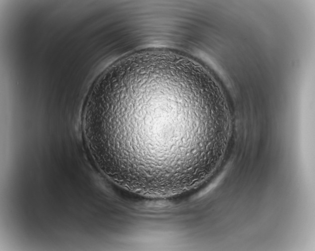 X0000089761129200706211539