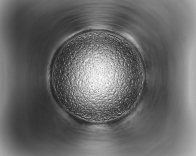 X0000089761133200706211539