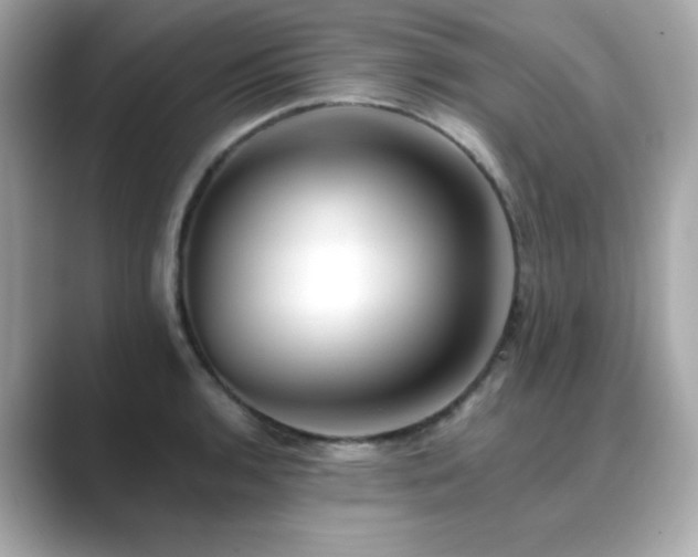 X0000089761136200706211539