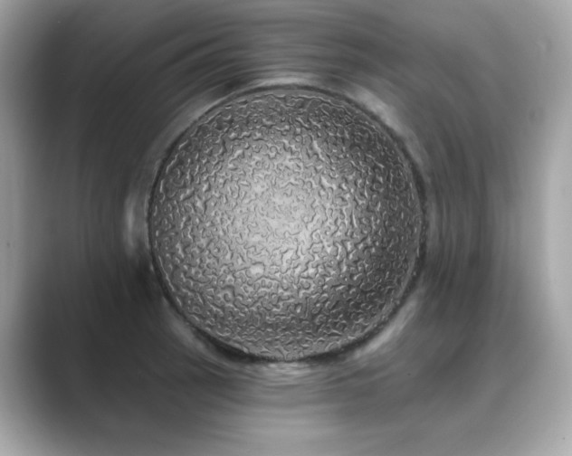 X0000089761137200706211539