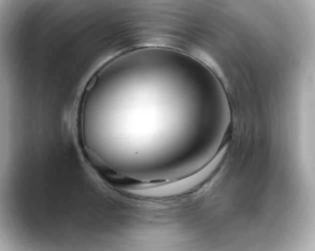 X0000089761138200706211539