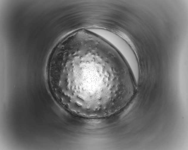 X0000089761141200706211539