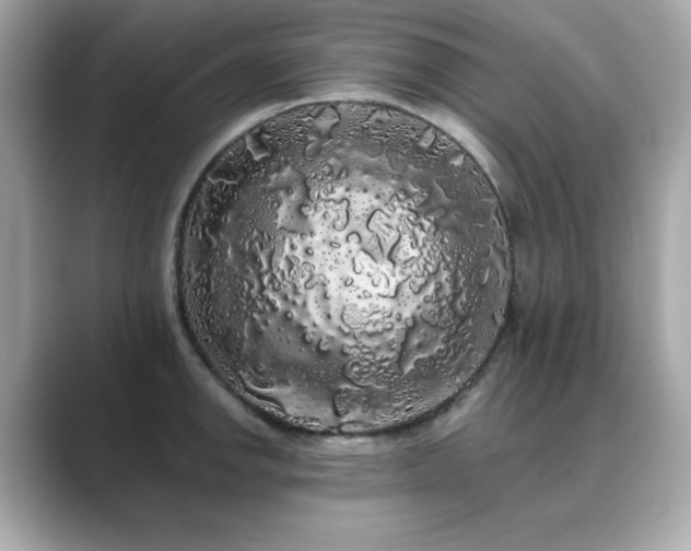X0000089761142200706211539