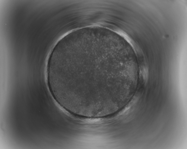 X0000089761143200706211539