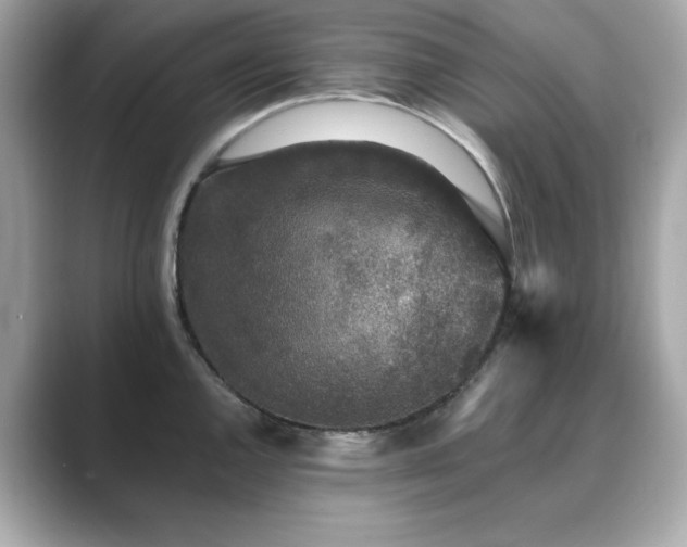 X0000089761144200706211539