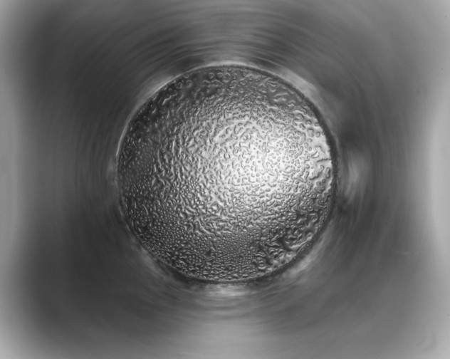X0000089761145200706211539