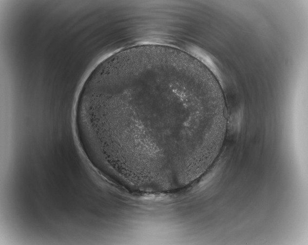 X0000089761146200706211539