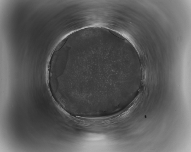 X0000089761151200706211539