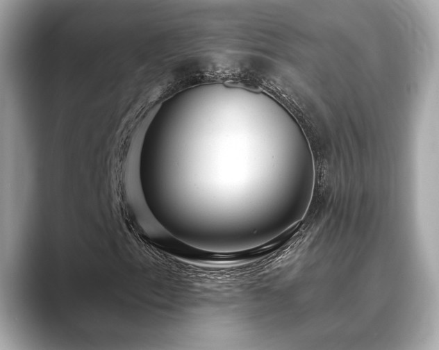 X0000089761153200706211538