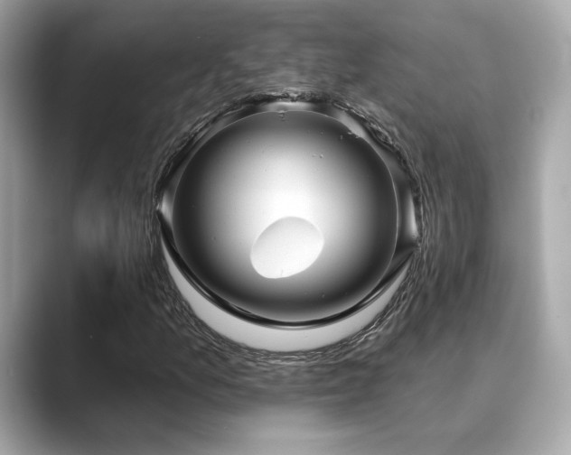 X0000089761157200706211538