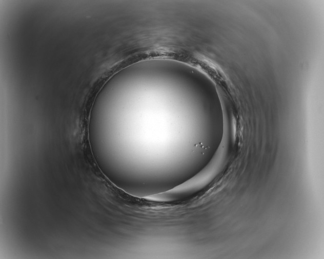 X0000089761160200706211538