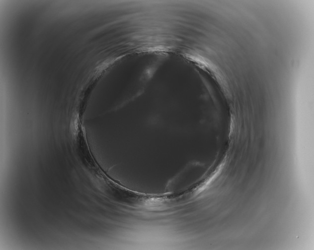X0000089761161200706211538