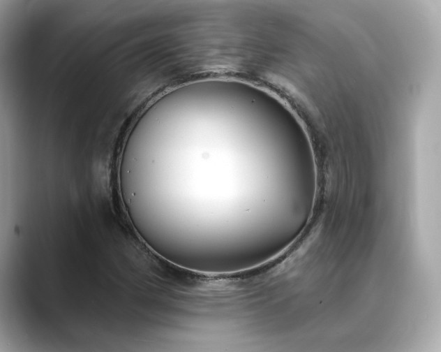 X0000089761162200706211538