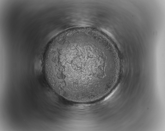 X0000089761163200706211538