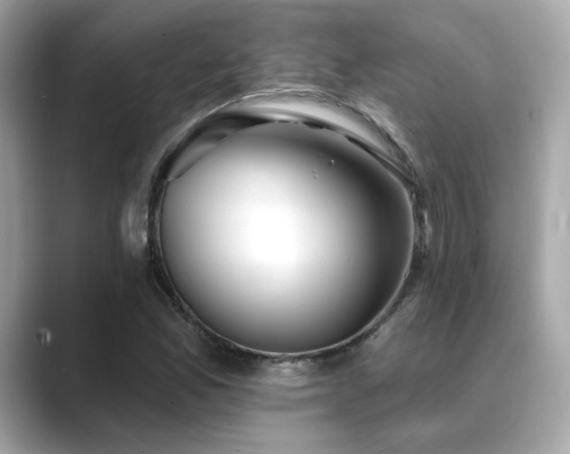 X0000089761165200706211538