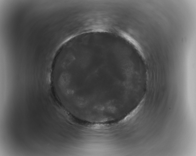 X0000089761166200706211538