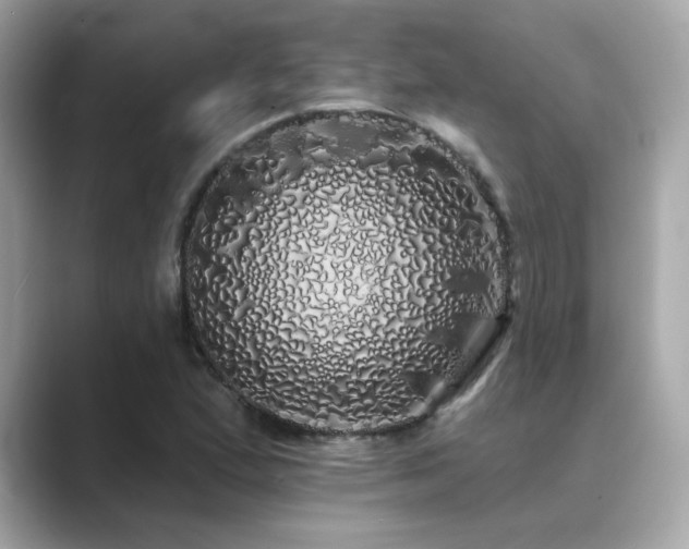 X0000089761167200706211538