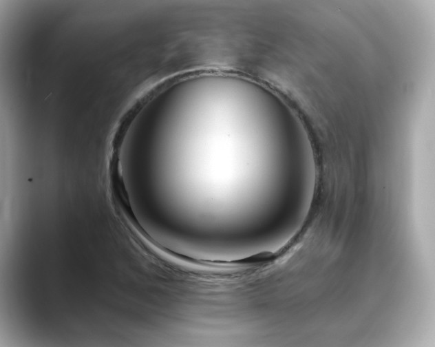 X0000089761168200706211538