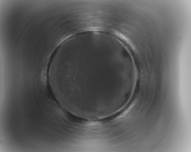 X0000089761170200706211538