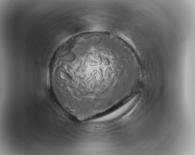 X0000089761171200706211538