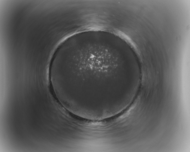 X0000089761174200706211538