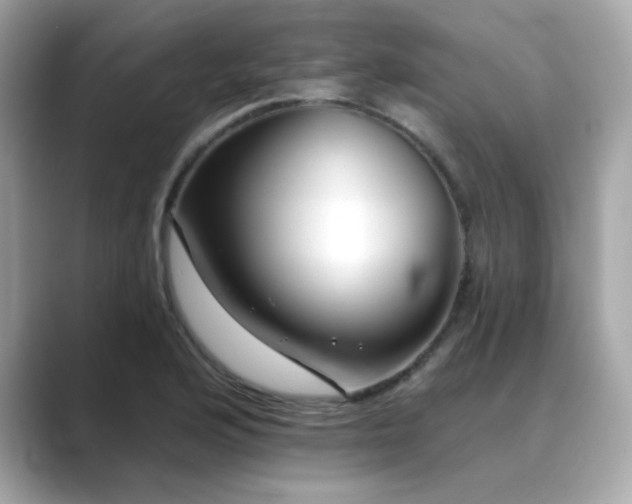X0000089761176200706211538