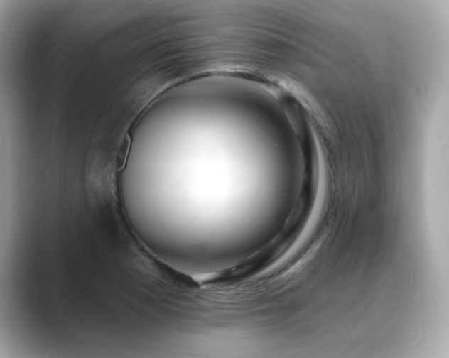 X0000089761177200706211538