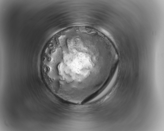 X0000089761179200706211538