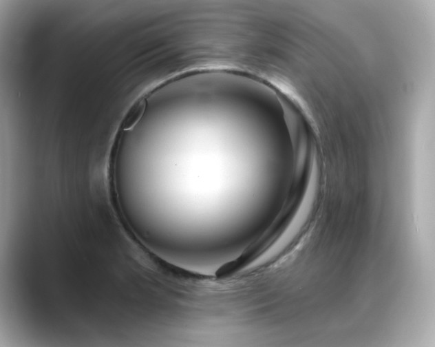 X0000089761181200706211538