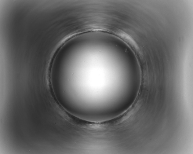 X0000089761182200706211538