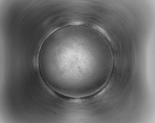 X0000089761186200706211538
