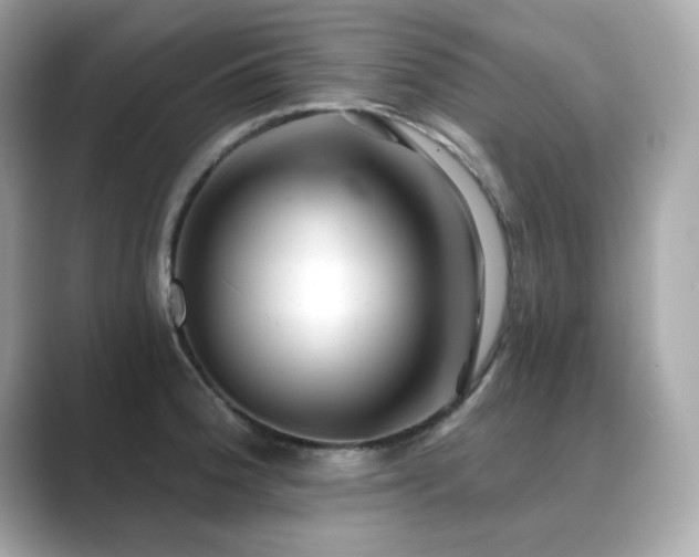 X0000089761188200706211538