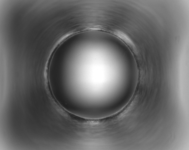 X0000089761190200706211538