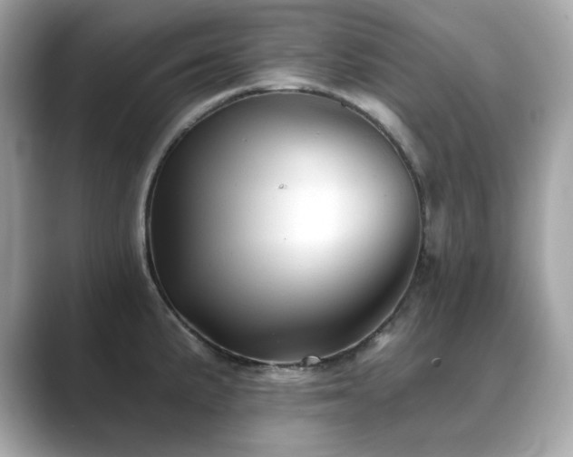 X0000089761191200706211538