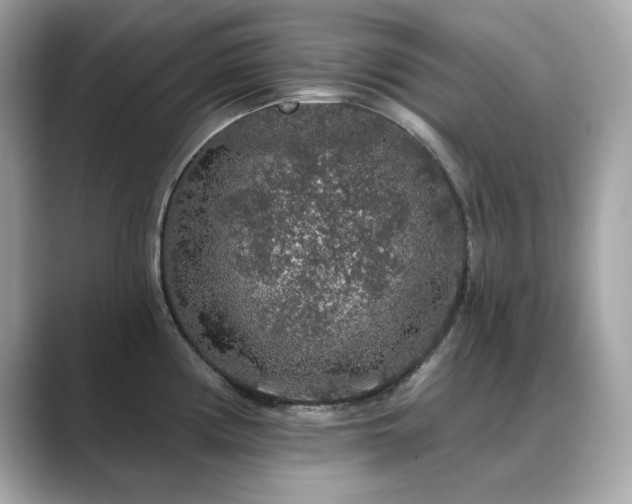 X0000089761194200706211538