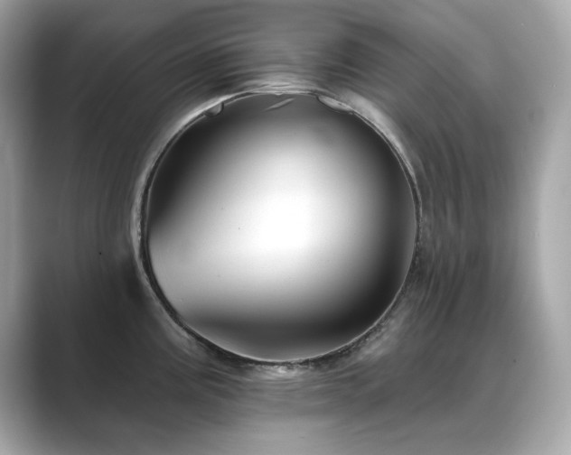 X0000089761195200706211538
