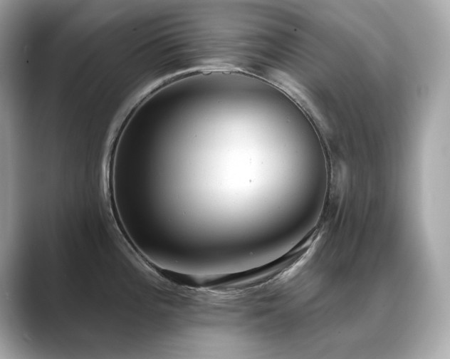 X0000089761196200706211538
