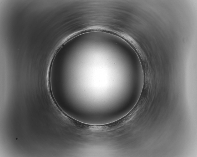 X0000089761199200706211538