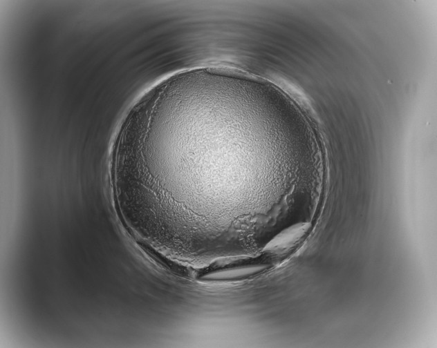 X0000089761200200706211538