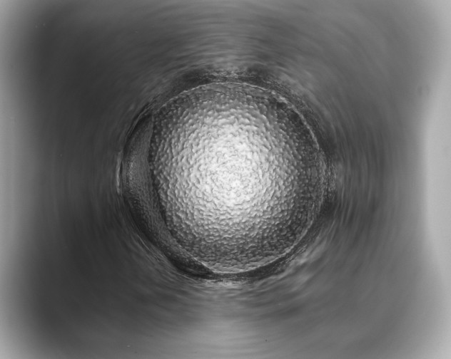 X0000089761202200706211537