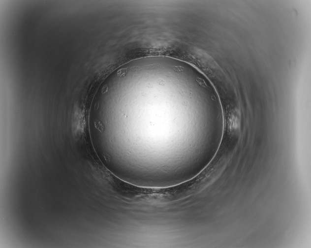 X0000089761204200706211537