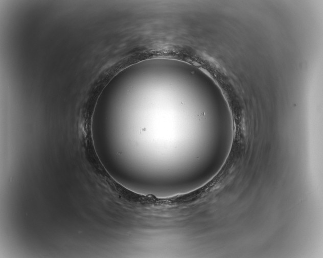 X0000089761206200706211537